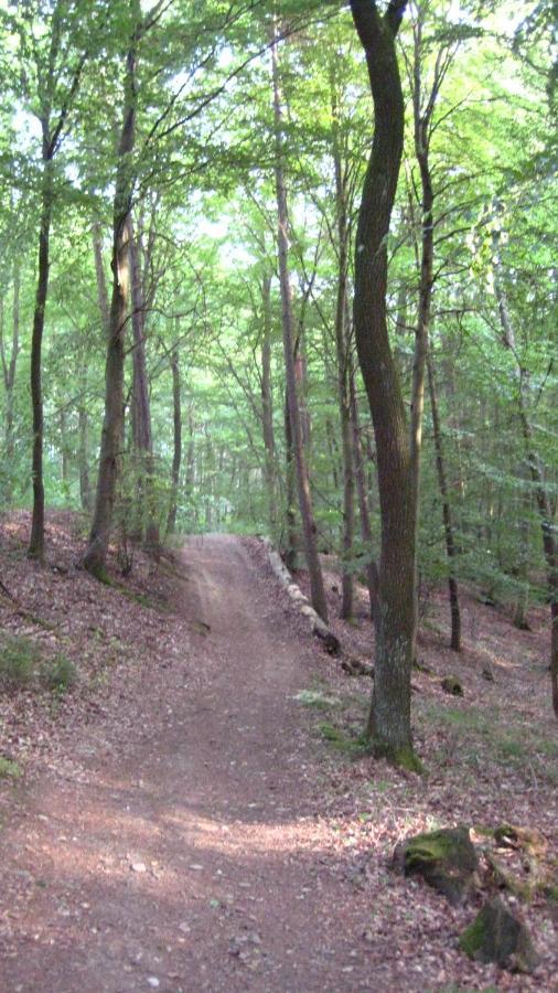Wimbach Gaestezimmer Waldblick מראה חיצוני תמונה